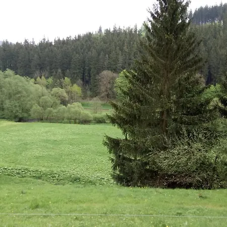 호텔 Thueringer Wald 일메나우