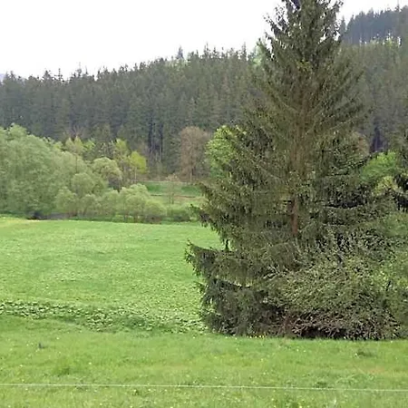 Thueringer Wald Ξενοδοχείο 3*