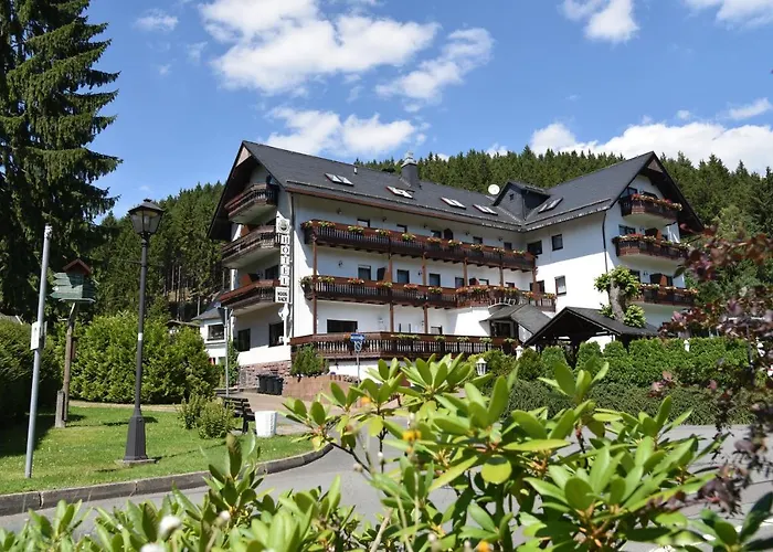 Thueringer Wald Hotel 3*